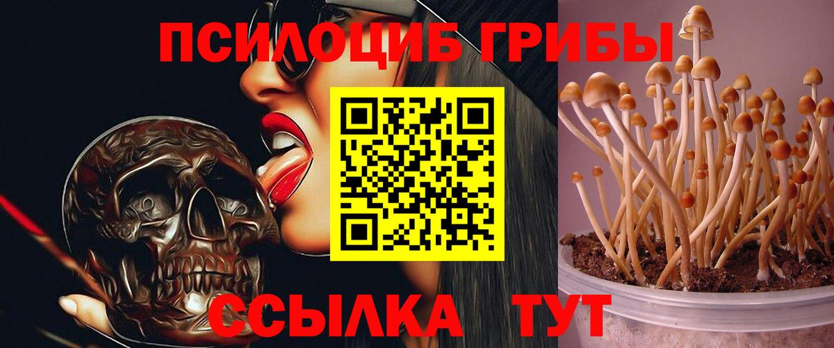 Галлюциногенные грибы ЛСД Владимир