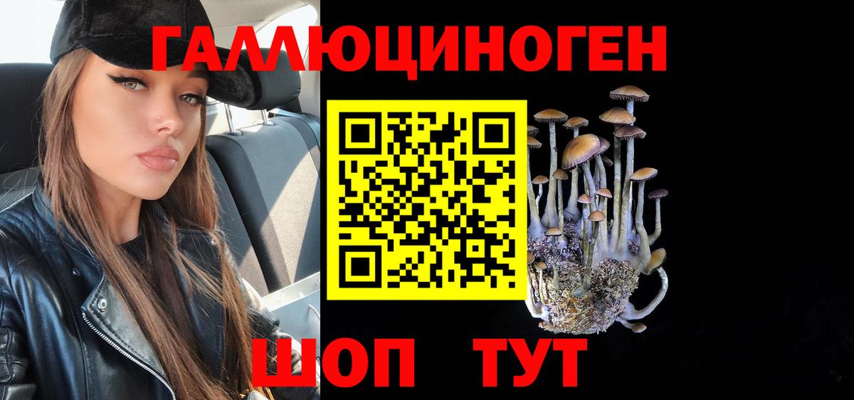 Галлюциногенные грибы мицелий  цены наркотик  Владимир  Вход с VPN 
